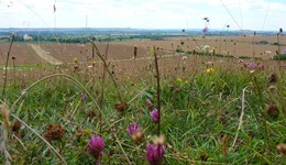 Farming into the future